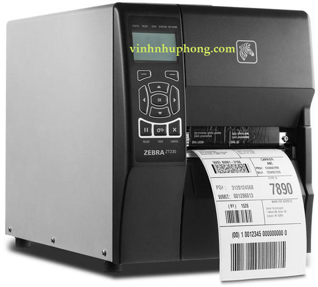 mayinmavachzebrazt230new2